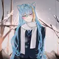 강쭈인데 프로필 사진