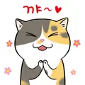 소름냥이 프로필 사진