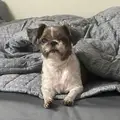 성무야 프로필 사진