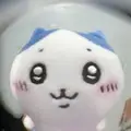 정선우123 프로필 사진