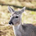 김성태입니다 프로필 사진