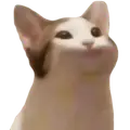 김심지 프로필 사진