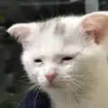 한가한님 프로필 사진