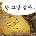 버그난감자 프로필 사진