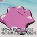 김몽타 프로필 사진