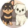 mingeun326 프로필 사진