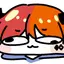 피브 PIBE