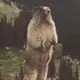 호식e 프로필 사진