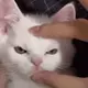 얌얌띠띠 프로필 사진