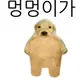 멍멍이 가 프로필 사진