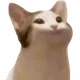 김심지 프로필 사진