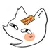 수상한펭귄 프로필 사진