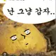 버그난감자 프로필 사진