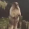 호식e 프로필 사진